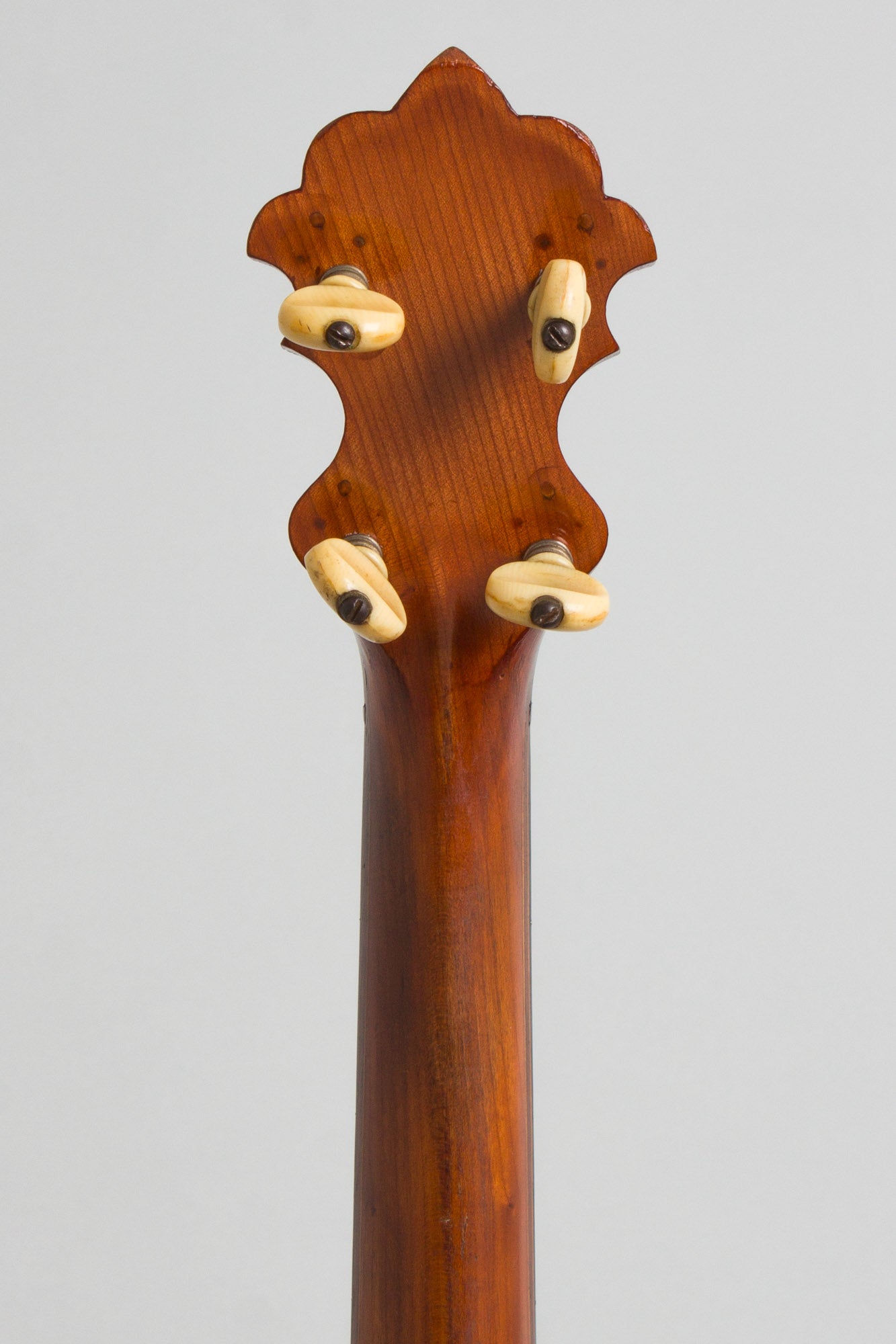 S. S. Stewart Special Thoroughbred 5 String Banjo (1897)