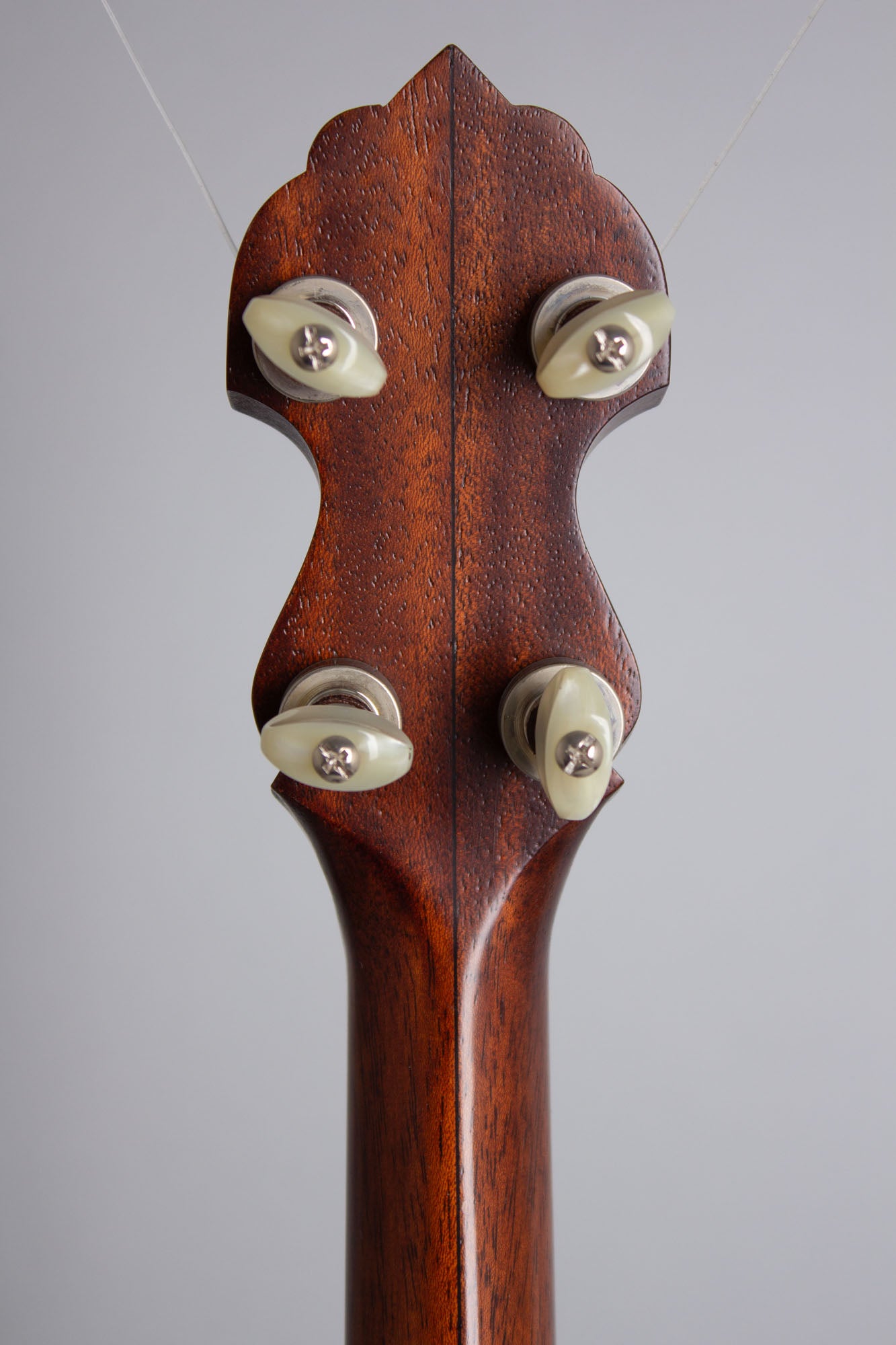 Bart Reiter Dobaphone 5 String Banjo (2020)