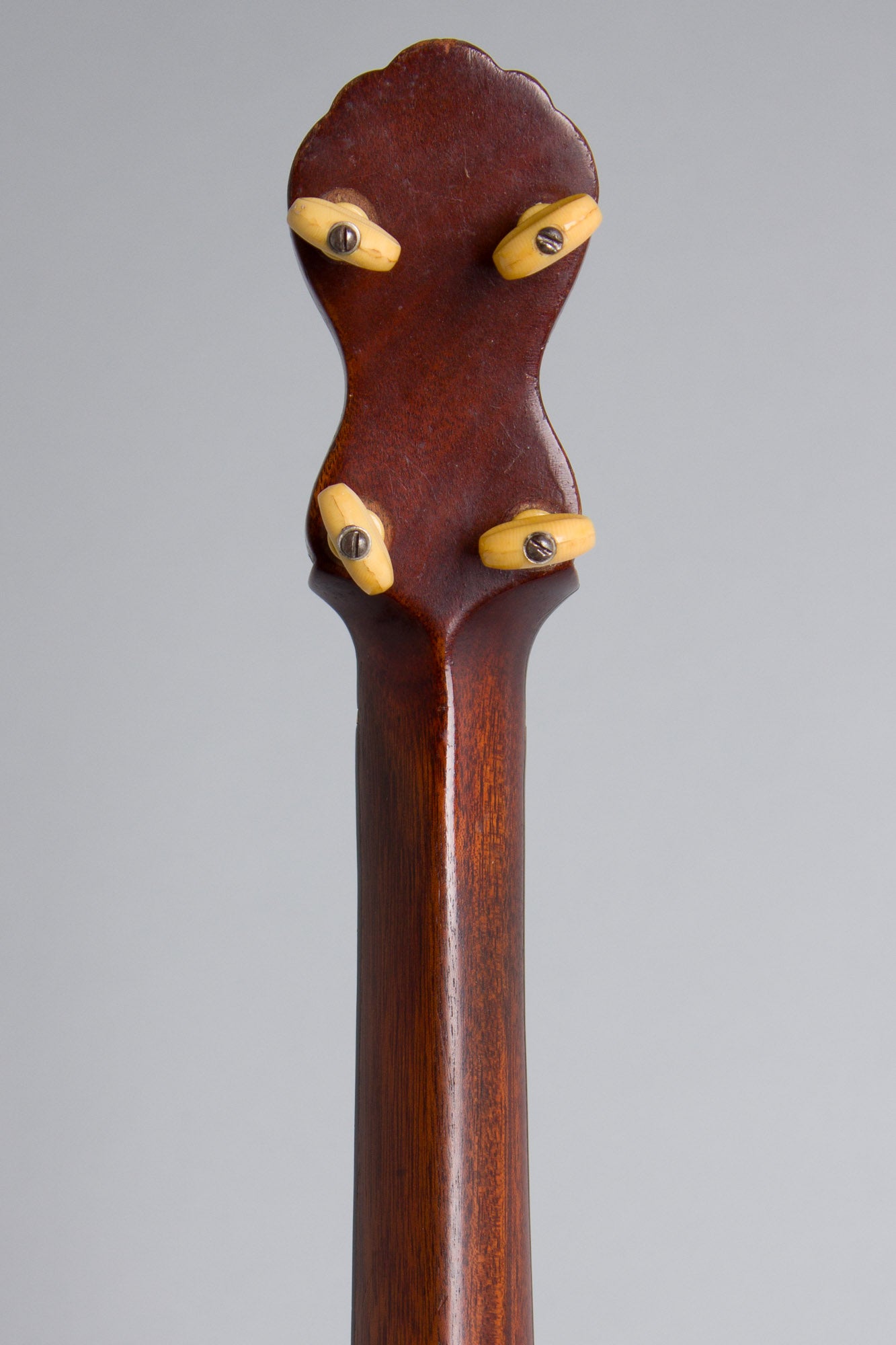 A. C. Fairbanks Professional 5 String Banjo (1891)