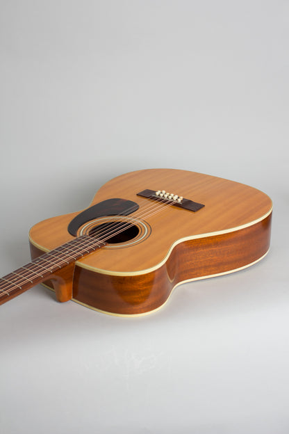 Harmony H-1233 12 String Flat Top Acoustic Guitar (1972)
