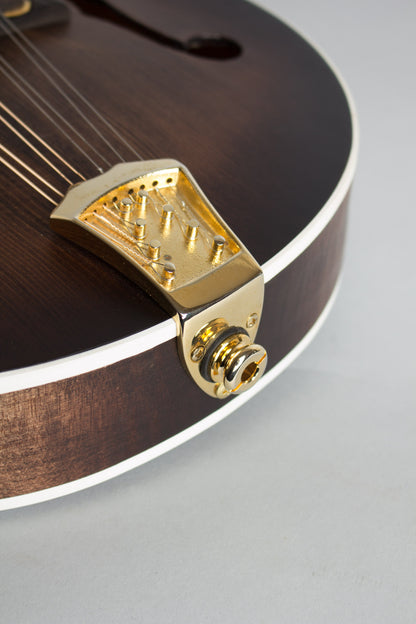 Gold Tone GM-Custom Arch Top Mandolin (2014)