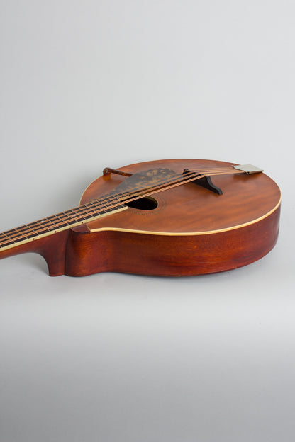 Gibson K-1 Carved Top Mandocello (1916)