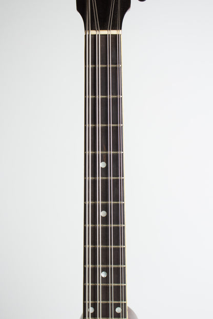 Gibson K-1 Carved Top Mandocello (1912)