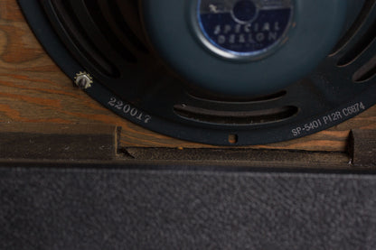 DeArmond Martin Model 112T Tube Amplifier (1960)