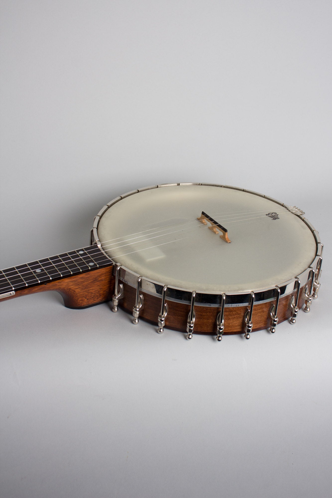 Bart Reiter Dobaphone Custom 5 String Banjo (2014)