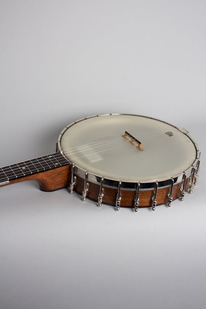 Bart Reiter Dobaphone Custom 5 String Banjo (2014)