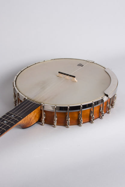 Mike Ramsey Special 5 String Banjo (2013)