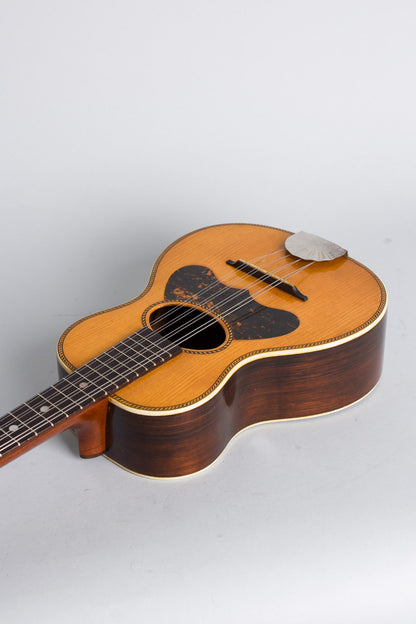 Lyon & Healy American Conservatory Mandolinetto (1912)
