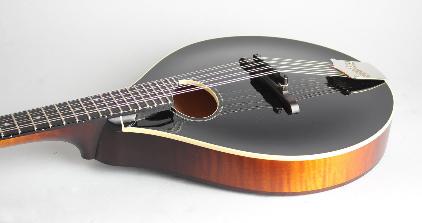 Collings MTO Carved Top Mandolin (2010)