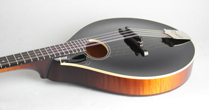 Collings MTO Carved Top Mandolin (2010)