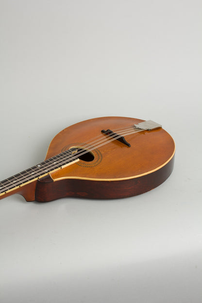 Gibson Style H-1 Carved Top Mandola (1910)