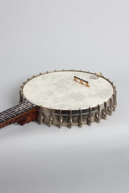 S. S. Stewart Extra Fine Presentation 5 String Banjo (1890)
