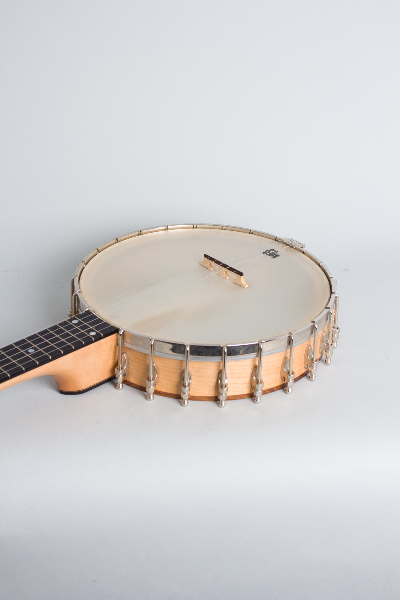 Bart Reiter Special 5 String Banjo (2017)