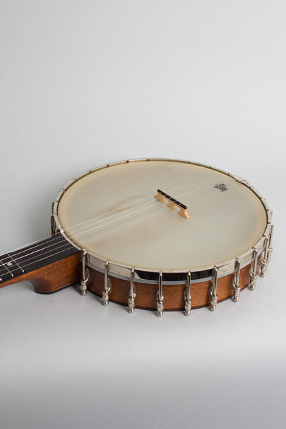 Bart Reiter Round Peak 5 String Banjo (2013)