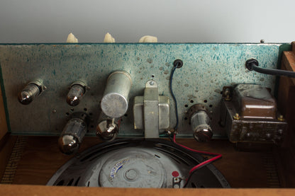 Magnatone Troubadour Model 112 Previously Owned by Steely Dan's Walter Becker Tube Amplifier (1953)