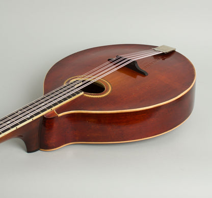 Gibson K-2 Carved Top Mandocello (1914)