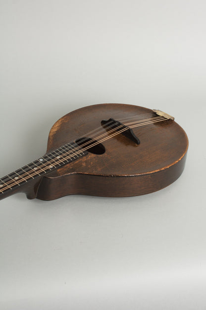 Gibson A-Junior Snakehead Carved Top Mandolin (1927)
