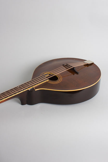 Gibson K-1 Carved Top Mandocello (1921)