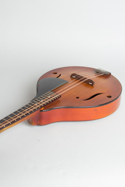 Stradolin Arch Top Mandolin (1950)
