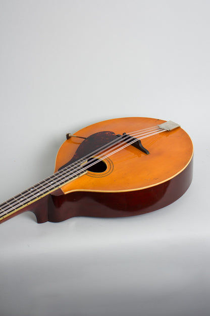 Gibson K-1 Carved Top Mandocello (1918)