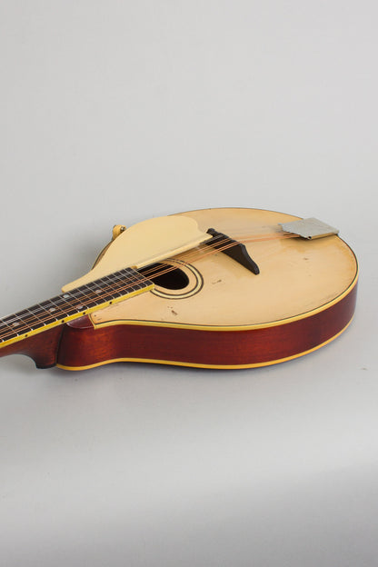 Gibson Model A-3 Carved Top Mandolin (1919)