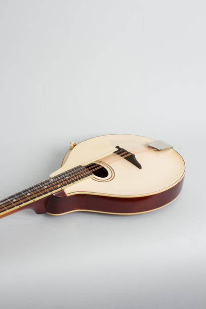 Gibson Model A-3 Carved Top Mandolin (1919)