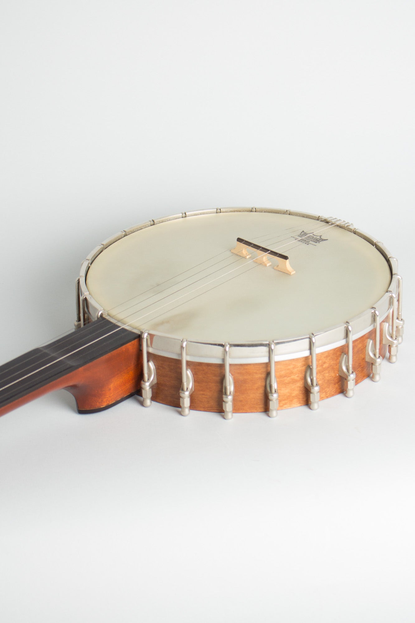 Bart Reiter Standard Fretless 5 String Banjo (2000)