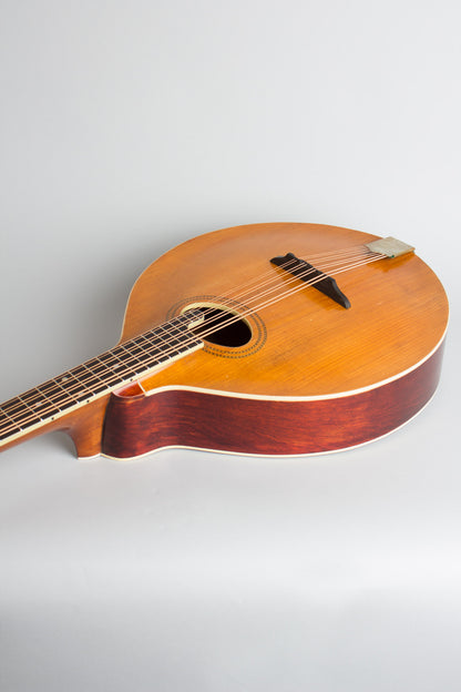 Gibson K-1 Carved Top Mandocello (1912)