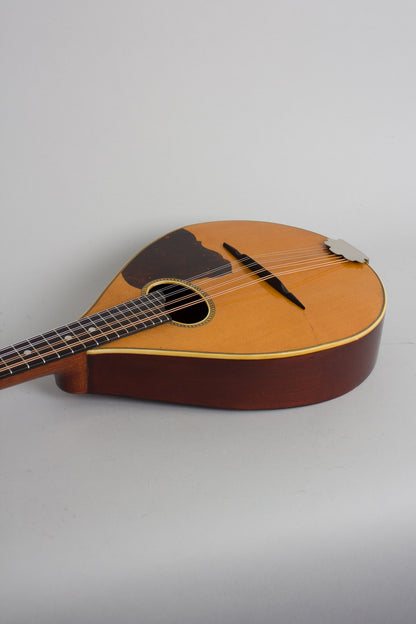 Vega Model 201 Flat Back, Bent Top Mandolin (1930)