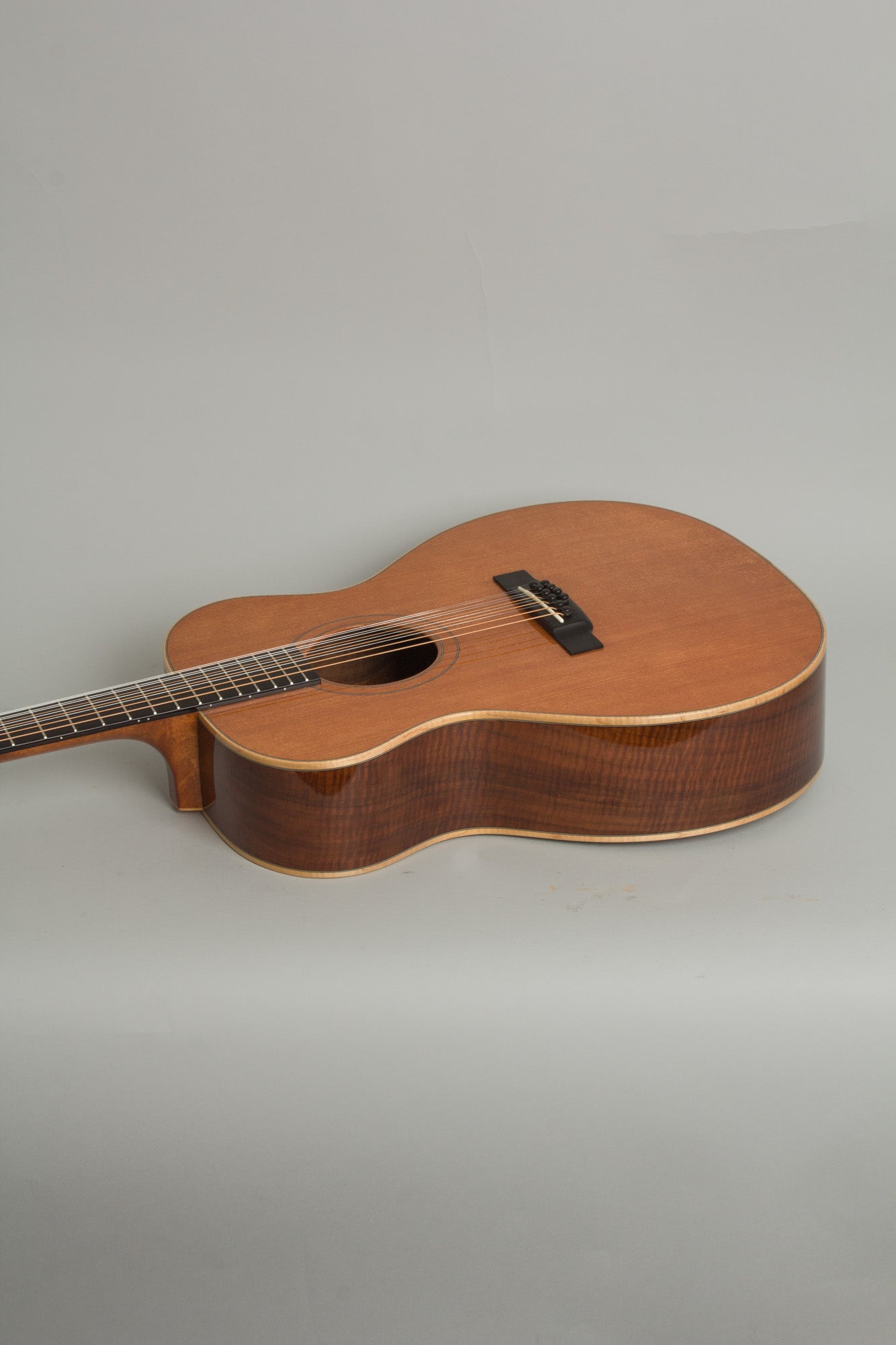 Circle Strings A-1 10 String Acoustic Flat Top Guitar (2018)