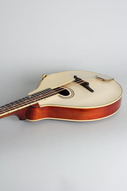 Gibson Style A-3 Carved Top Mandolin (1919)