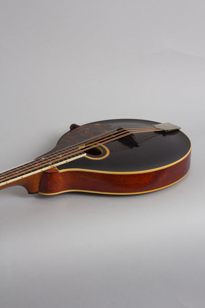 Gibson H-2 Carved Top Mandola (1913)