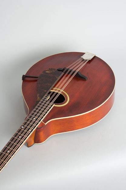 Gibson K-2 Carved Top Mandocello (1914)