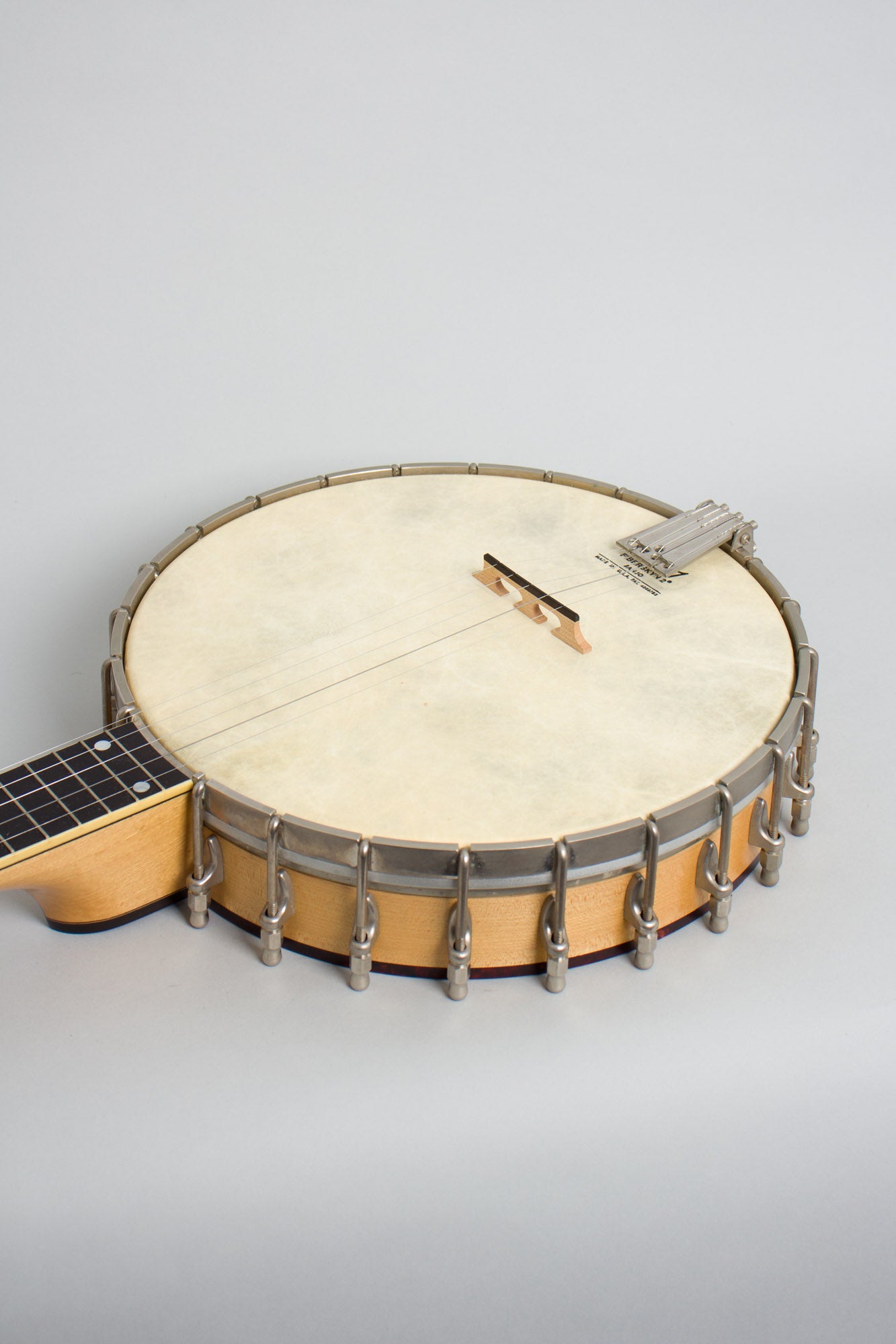 Bart Reiter Professional 5 String Banjo (1996)