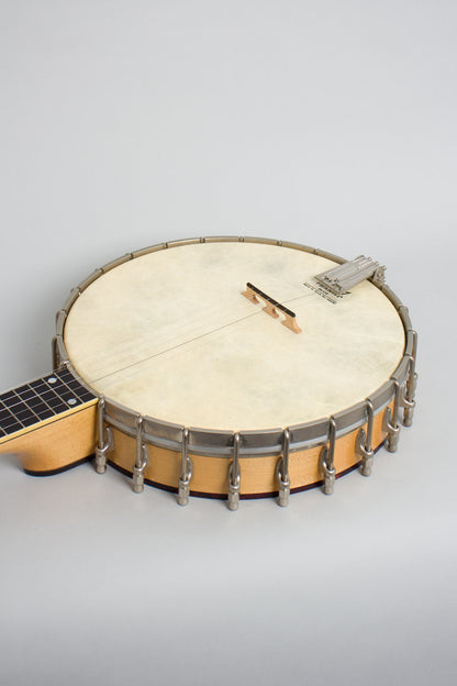 Bart Reiter Professional 5 String Banjo (1996)