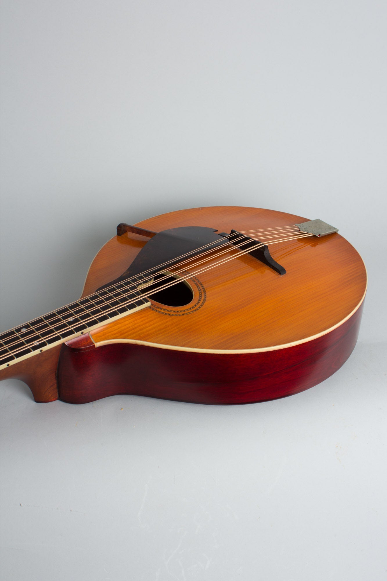 Gibson K-1 Carved Top Mandocello (1912)
