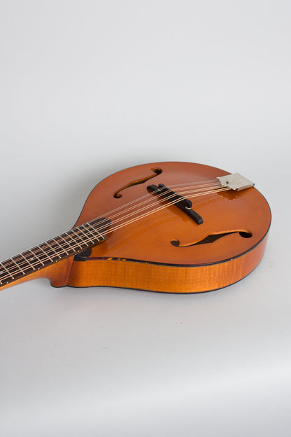 Northfield NFM-M4 Carved Top Mandola (2023)