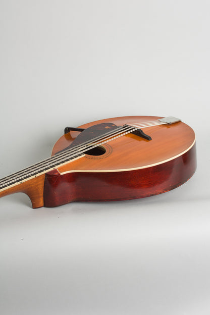 Gibson K-1 Carved Top Mandocello (1914)