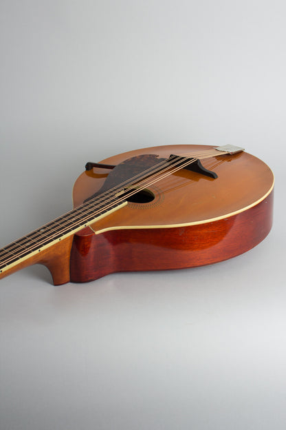 Gibson K-1 Carved Top Mandocello (1914)