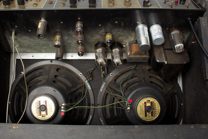 Magnatone Da Vinci D-60 Custom previously owned by Steely Dan's Walter Becker Tube Amplifier (1965)