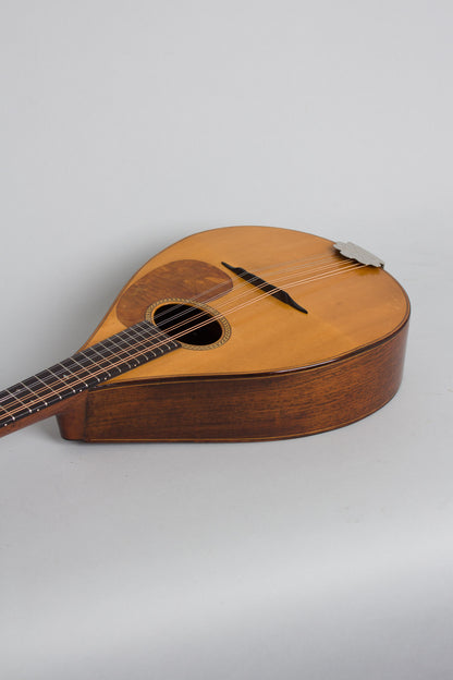 C. F. Martin Style B Flat Back Mandolin (1919)