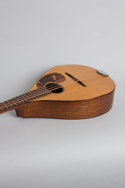 C. F. Martin Style A Flat back, bent top Mandola (1919)