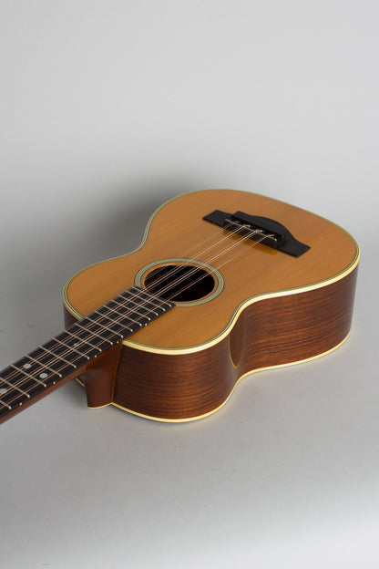 C. F. Martin T-28 Tiple (1972)