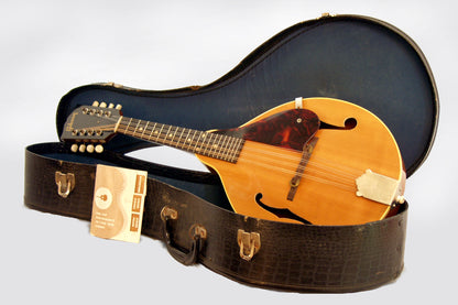Gibson A-40N Carved Top Mandolin (1962)