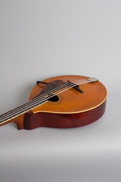 Gibson K-1 Carved Top Mandocello (1915)