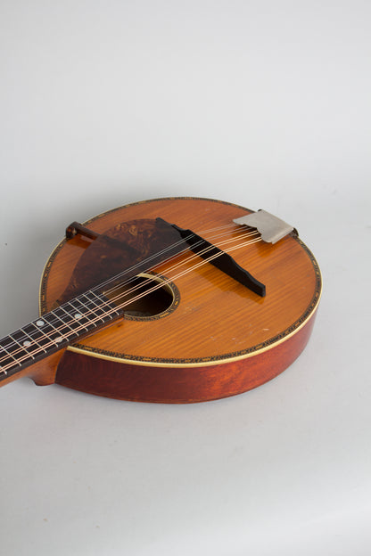 Gibson Alrite Style D Flat Top Mandolin (1917)