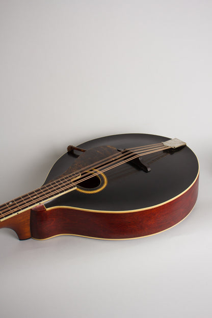 Gibson K-2 Carved Top Mandocello (1913)