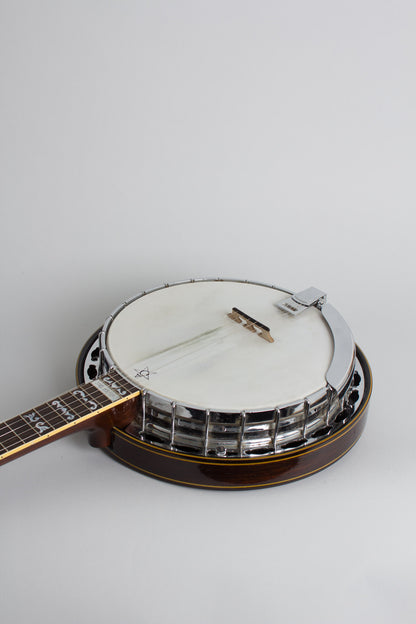 Monteleone Mastertone-style Neck on Alvarez Pot 5 String Resonator Banjo (1970/1973)