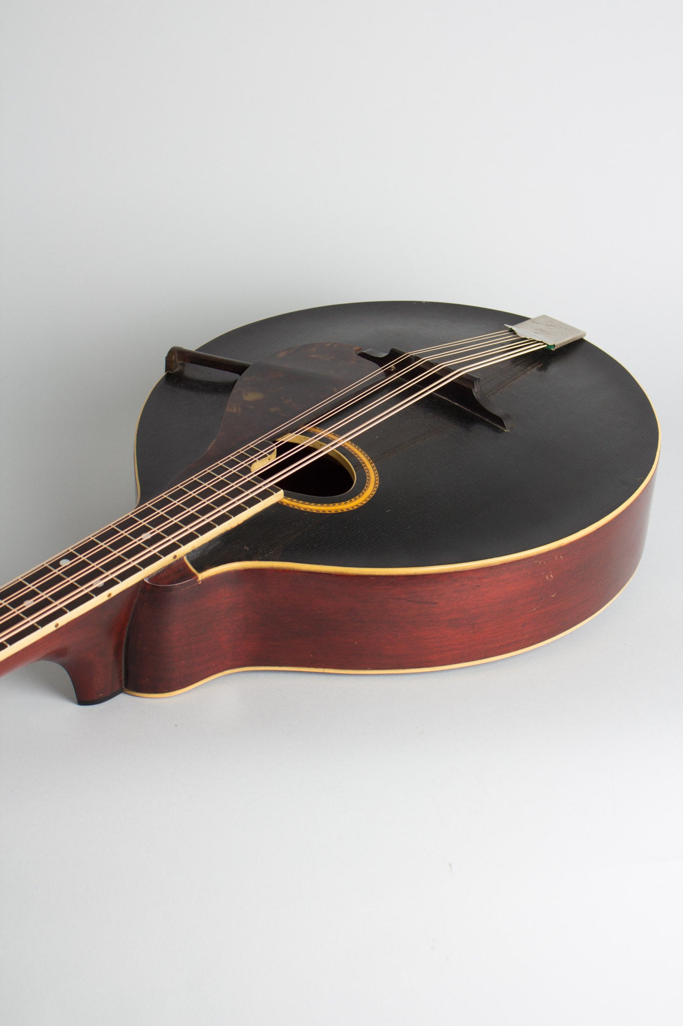 Gibson K-2 Carved Top Mandocello (1911)