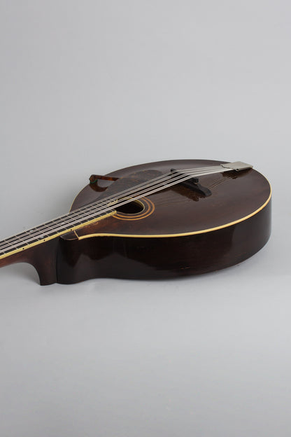 Gibson K-1 Carved Top Mandocello (1919)